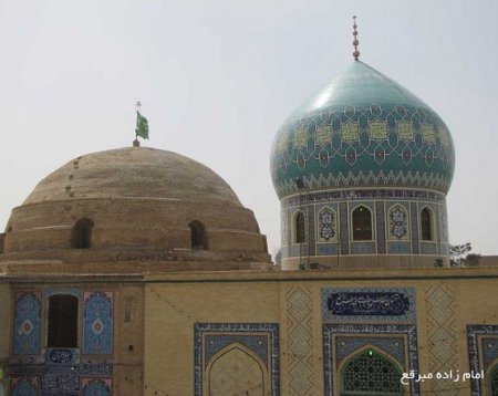 سید موسی مبرقع، شاخه ای از شجره نبوی و علوی