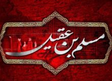 محبی که هم رنگ محبوبش شد/ چرا کوفیان پشت حضرت مسلم بن عقیل(ع) را خالی کردند؟/ مصداق عینی و روشن ولایتمداری و همراهی با حجت خدا