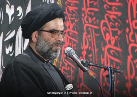 آیت‌الله طاهری در مجلس خبرگان رهبری در مصاحبه‌ با واحد رسانهٔ حوزهٔ علمیهٔ امام صادق علیه‌السلام توضیحات مهمی را در خصوص انتخاب رهبری مطرح کردند که در ادامه می‌آید: